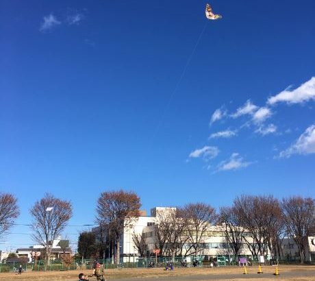 空高く舞い上がれ！