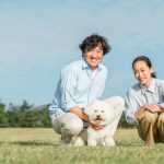 子どもが独立した後の住み替え候補！朝霞・志木エリアで始めるセカンドライフ